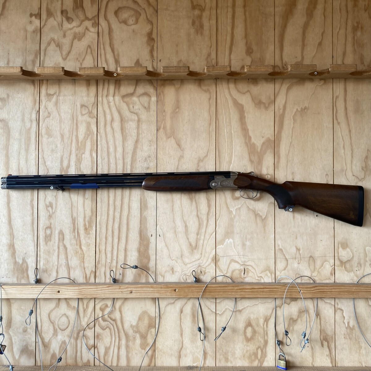 SV10 Prevail Sporting